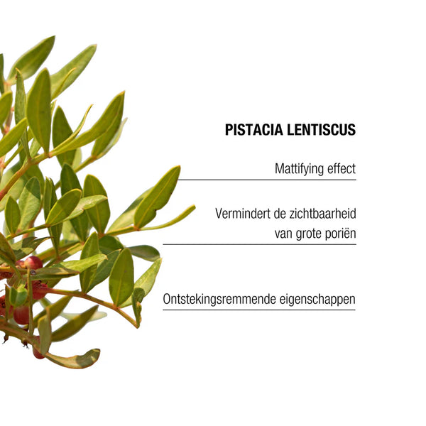 Mattifying Moisturizer - matteert, verkleint poriën