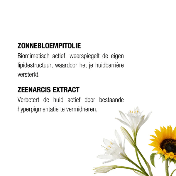 Hydra+ Fluid Moisturizer SPF50